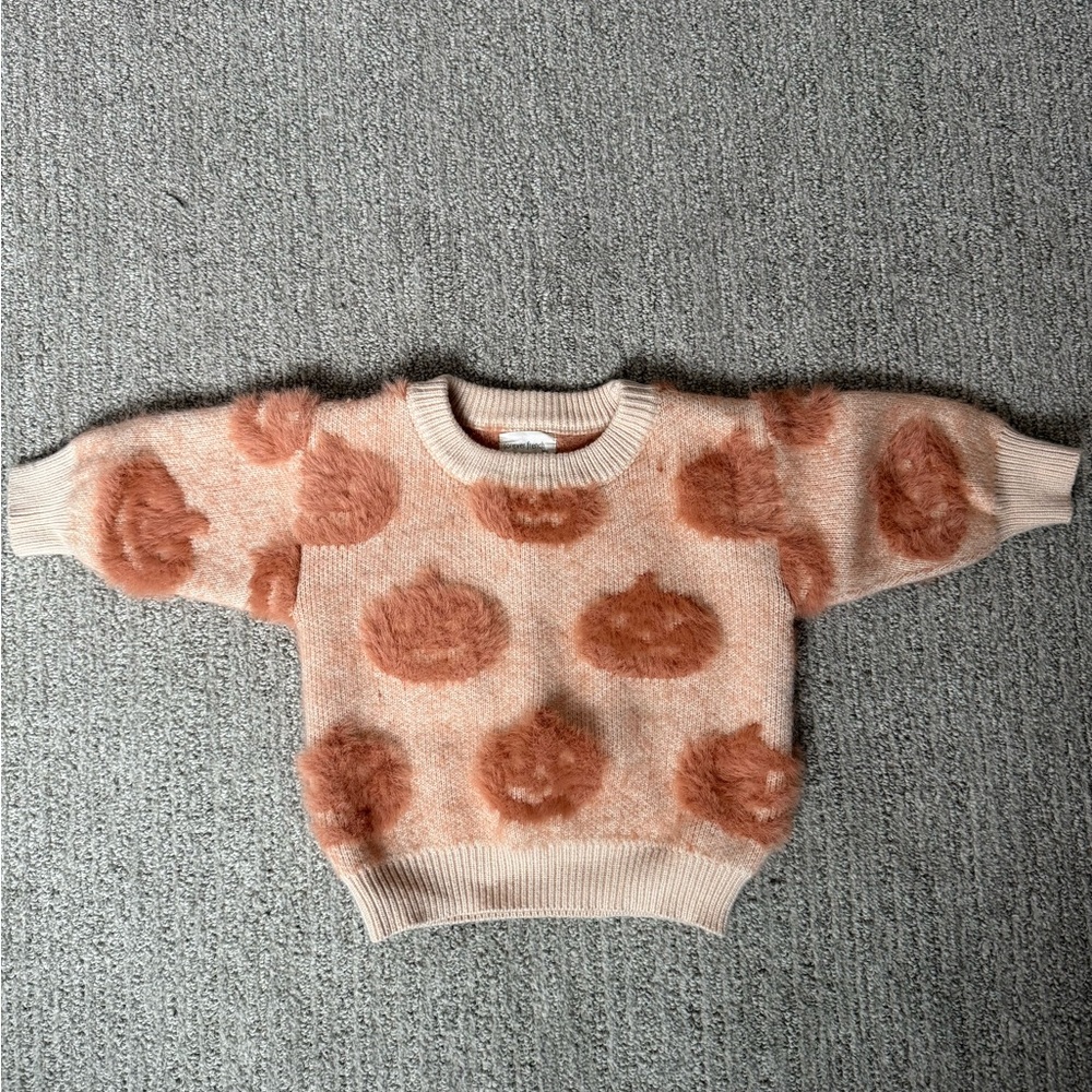 Super soft forever French pumpkin sweater